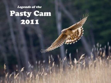 2011 Pasty Cam Calendar