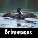Brimmages Photography