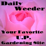 Daily Weeder