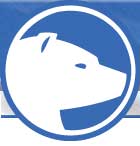 Silver Bear Scoops