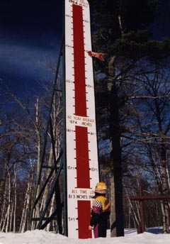 Ye Olde Snow Thermometer with Season-to-Date Pointer