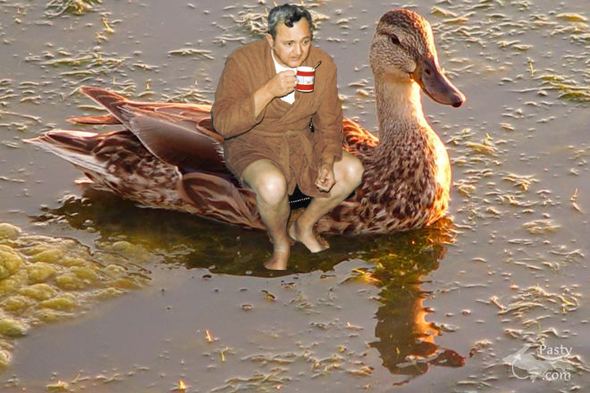 Jerry's duck