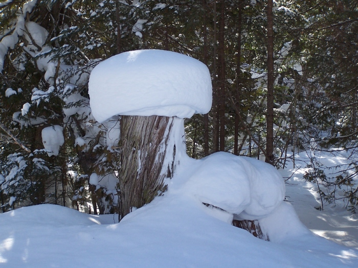 snow hat