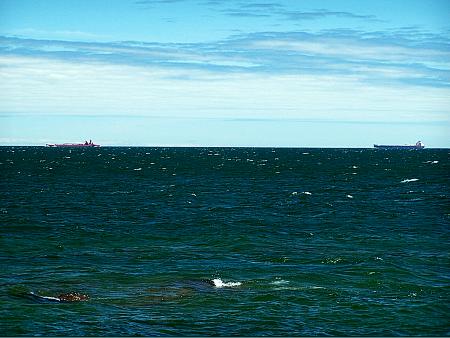 Ships on da big lake