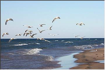 Superior shore
