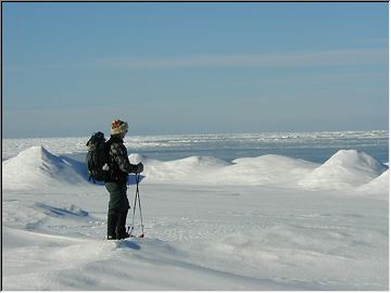 Sea of white