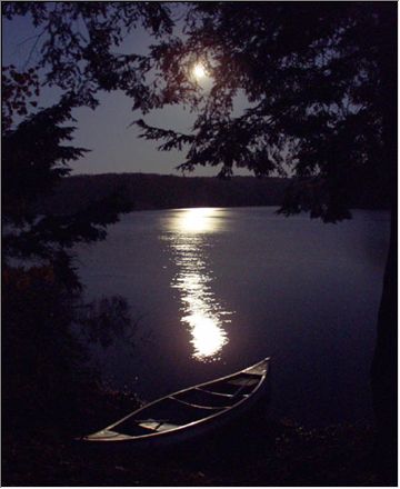 By the lake