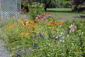 One of many flowerbeds