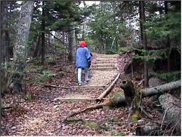 Walk in the Keweenaw woods