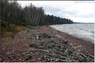 Superior driftwood