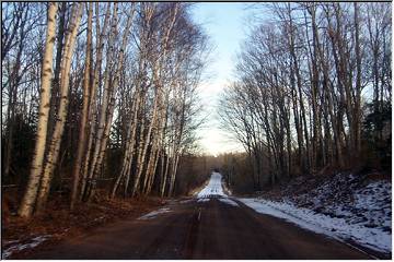 U.P. backroad