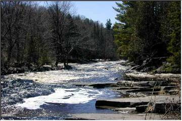 Near Canyon Falls