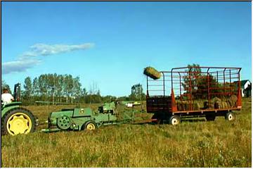 Harvest in Traprock Valley