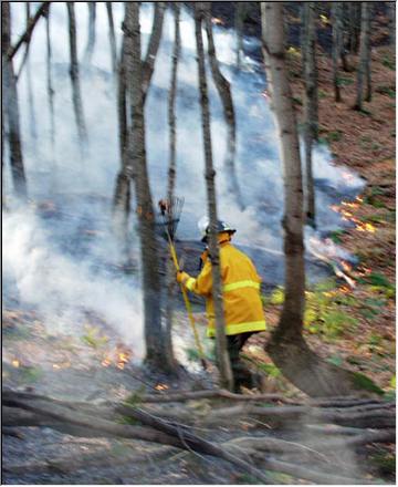 Unidentified Fire Fighter