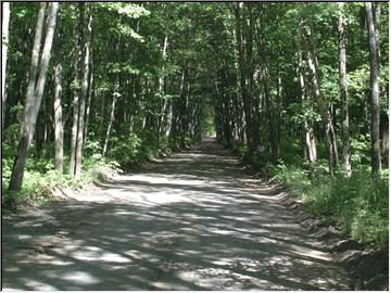 Covered road