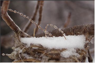 Beaded bird nest