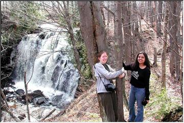 Keweenaw woods