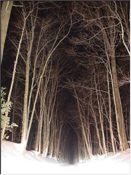 Taka on the Covered Road