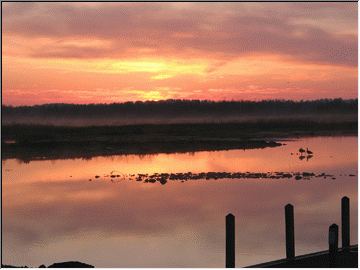 Silent dawn