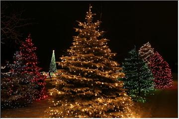 Holiday splendor