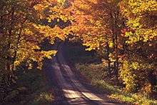 Fall