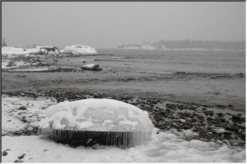 Creature from the cold lagoon