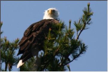 Surveying the land