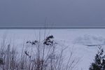 Quiet Lake