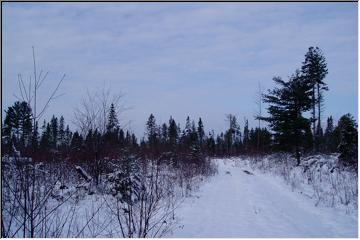 Blanket of snow