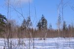 Snowshoe country