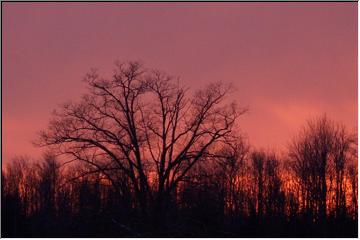 Red sky in the morning