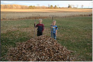 Have rake, will pile leaves