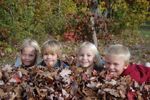 Have pile of leaves, will play