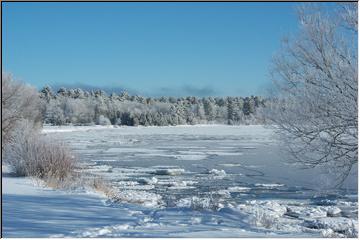 Icy beauty