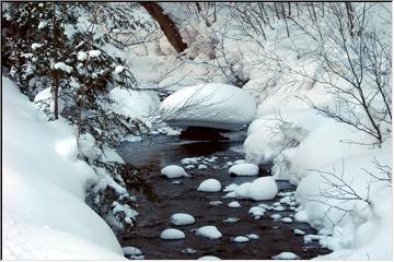 Winter beauty