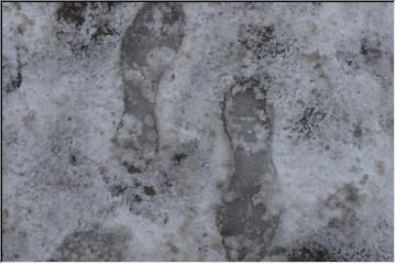 Footprints