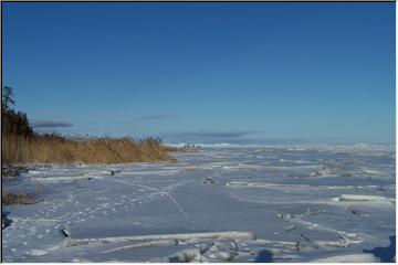 Lake Michigan shores