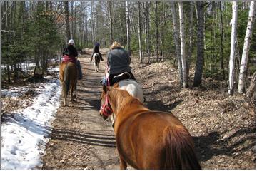 Horseback ride