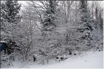 Blanket of white