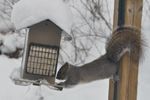 Balancing act