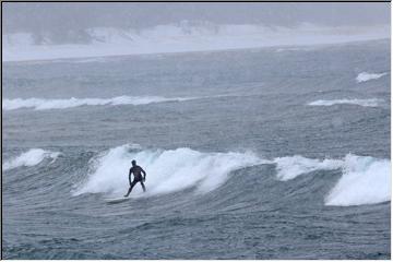 Surfer dude