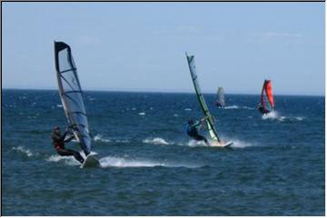 Regatta of windsurfers