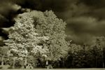 Infrared shot