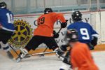 Hockey action