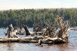 Prickett Island