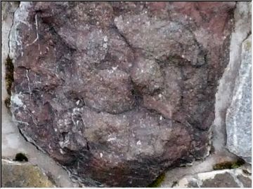 Face in stone