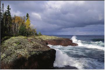 Superior Autumn
