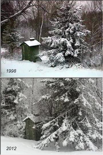 Snow overnight