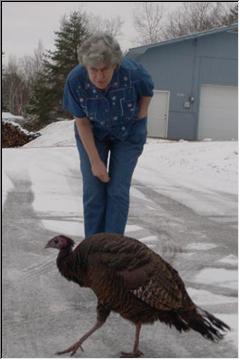 Gobble, gobble