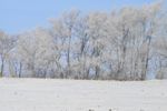 Winter freeze